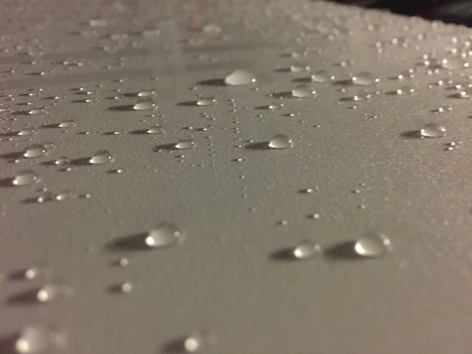 Water beading across a dark painted car panel